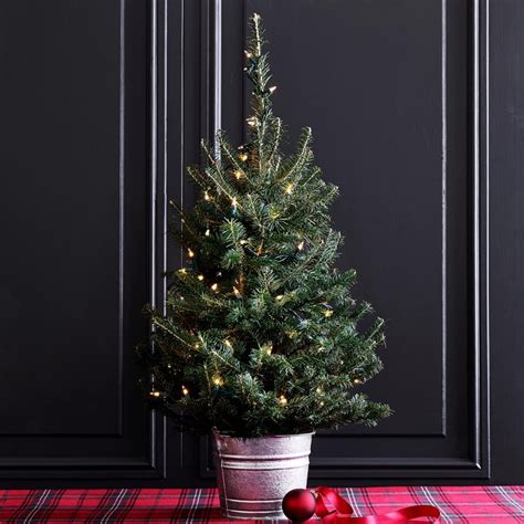 Best Live Tabletop Christmas Trees 2022 Ps Home