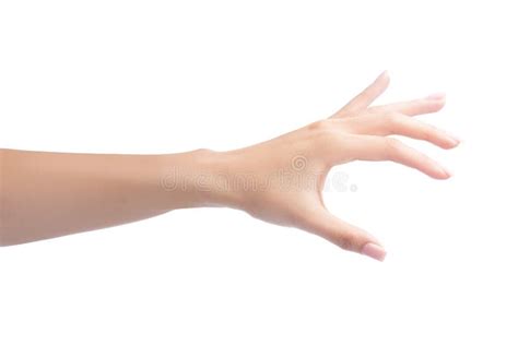 Woman Hand Holding Object Stock Image Image Of Clipping 68962373