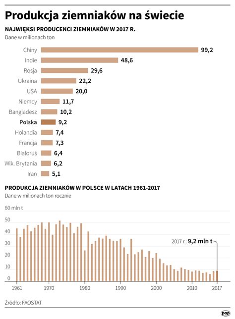 Co jedzą Polacy Konsumpcja ziemniaków w Polsce dane IERiGŻ