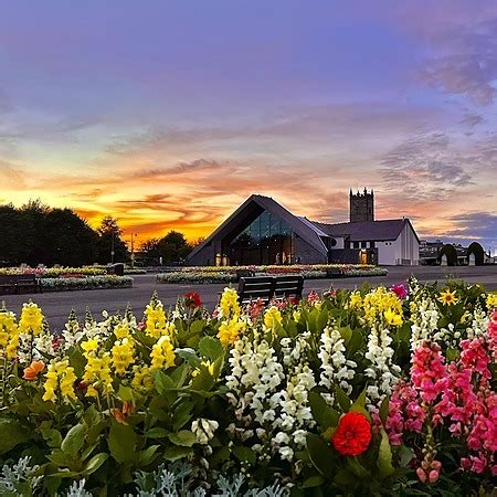 Knockshrine Twitter Facebook Linktree