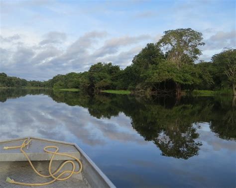 Estados Unidos Contribuirá Para Proteger La Selva Amazónica Confidencial Noticias