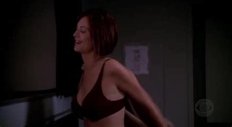 Catherine Bell Sexy Jag S E Celeb Jihad Explosive