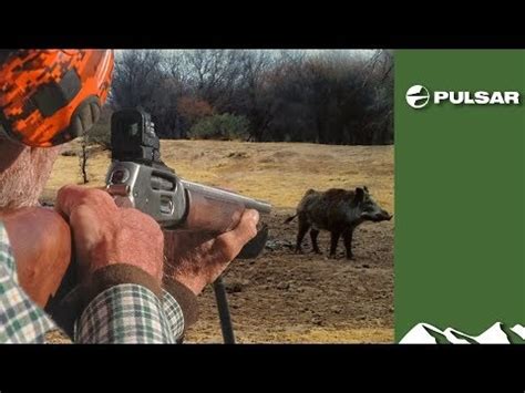 Tim Hunts Big Boar In Argentina De Jacht