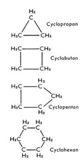 Cycloalkane Lexikon Der Biologie