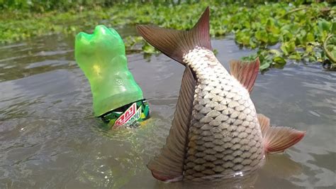 Plastic Bottle Fish Trap Traditional Catch Fish With Hook Plastic