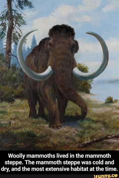 Woolly Mammoths In The Mammoth Steppe Prehistoric Wildlife