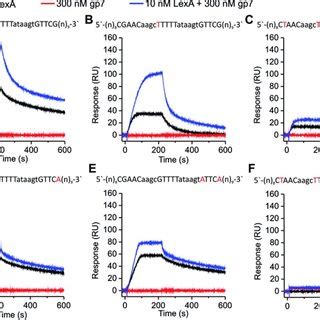 Dnase I Footprint Analysis Showing Enhanced Lexa Binding To Dinbox And