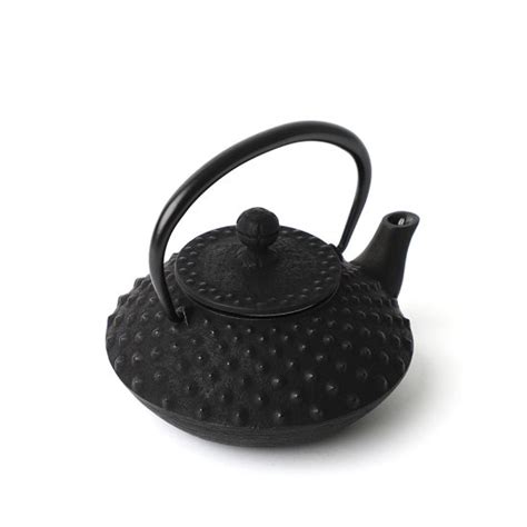 Iwachu Tetsu Kyusu Hira Arare Black 350ml