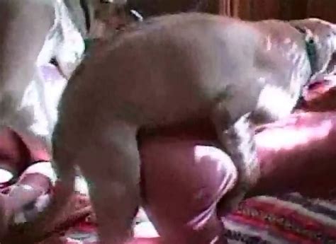Dog sex мокрая развратница возбудила псину оральным сексом и посношалась домашнее porn zoo