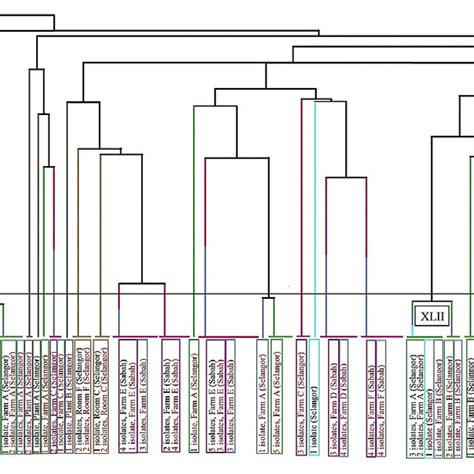 Dendrogram Of Similarity Among The Observed PFGE Macrorestriction