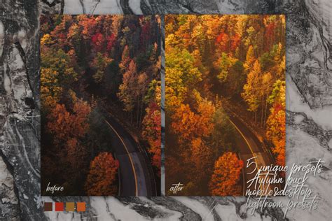 5 Lightroom Presets Autumn Filtergrade