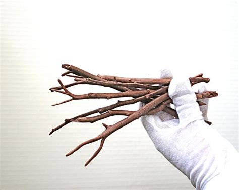 Edible Branches Sticks And Twigs Chocolate By Andiespecialtysweets