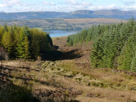 Woodland Above Rhu Reservoirs © Lairich Rig Cc By Sa 2 0 Geograph Britain And Ireland