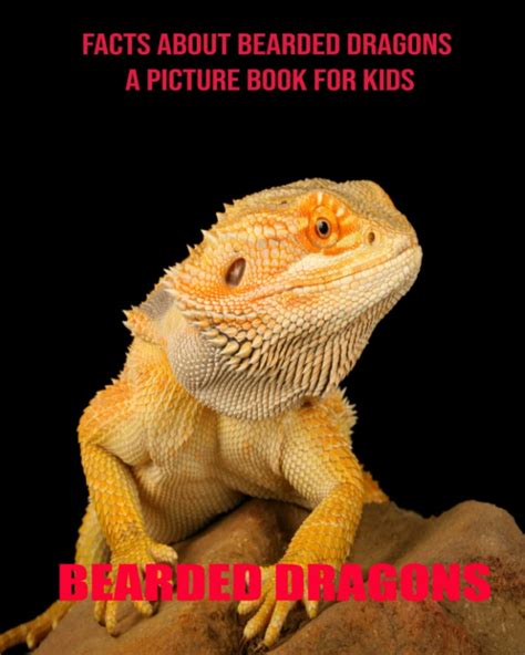 Bearded Dragons Facts About Bearded Dragons A Picture Book For Kids By