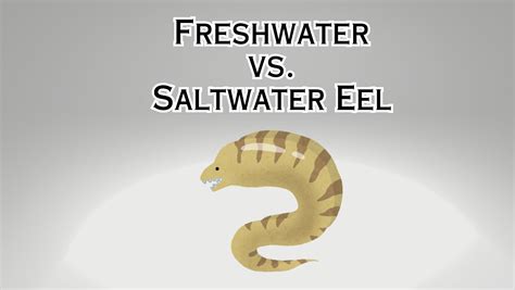 What Do Eels Eat Eel Diet Guide 101 Eeliad