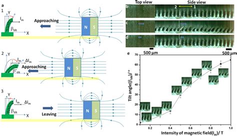 The Illustration Of The Neodymium Iron Boron Magnet Used To Tilt The