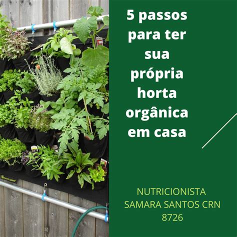 5 passos para ter sua própria horta orgânica em casa Dieta do Chef