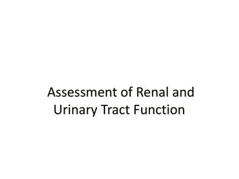 Chapter Assessment Of Renal And Urinary Tract Function