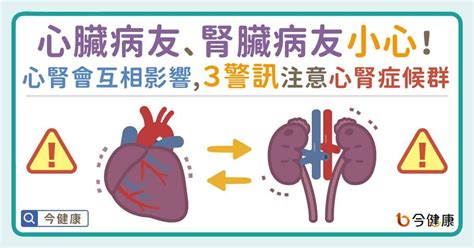 心臟病友、腎臟病友小心！心腎會互相影響，3警訊注意心腎症候群！ 健康大小事 生活 Nownews今日新聞