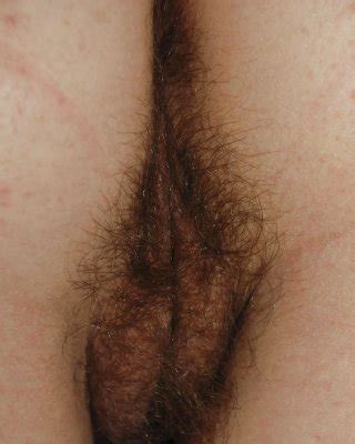 Hairy Armpits Mika Tan Super Sexy Lesbians Porn Pictures Xxx Photos Sex Images Pictoa