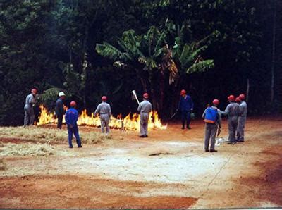 Treinamento De Combate A Inc Ndio Florestal Tudo Contra Inc Ndio