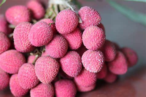 10 Lychee Varieties (Different Varieties of Lychee) - ChowTray