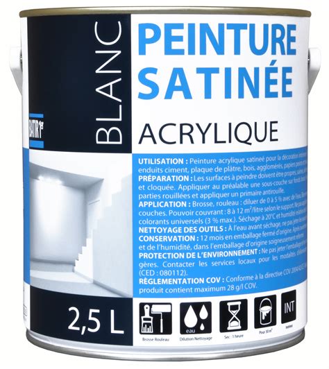 Batir Er Peinture Acrylique Satin E Blanc L Batir Er Dod