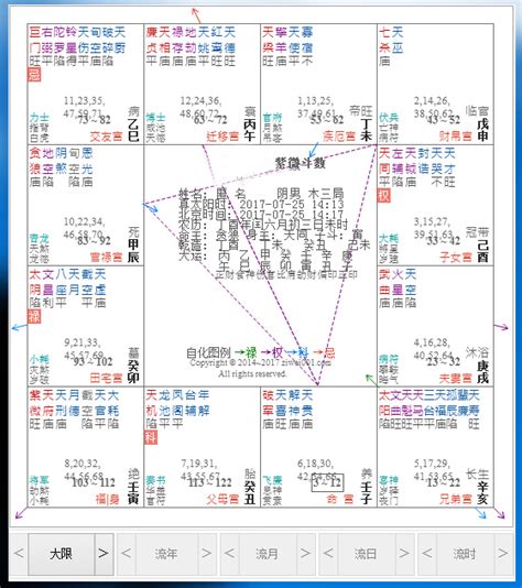 紫微斗数看玄学天赋 有玄学天赋的紫微命盘 紫微斗数怎么看 第5页 大山谷图库