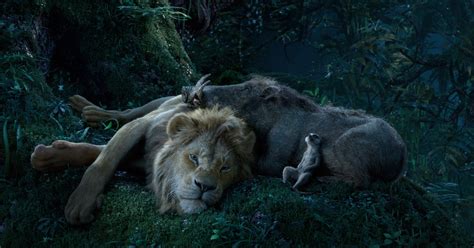 Lion King Pumbaa Poster Sparks Controversy Twitter