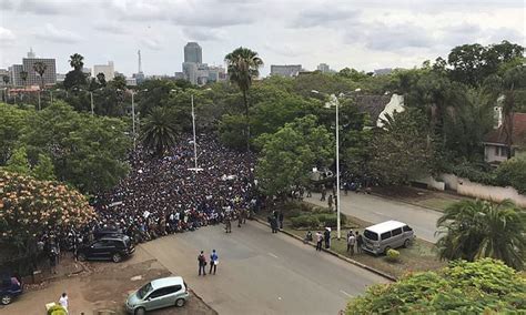 The Latest Zimbabweans Gather In Thousands Near State House Daily