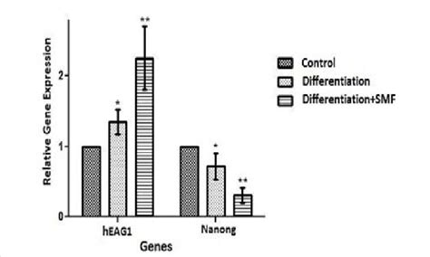 Real Time Pcr Data Analysis Revealed Significant Gene Expression Download Scientific Diagram