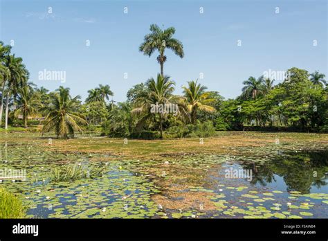 Taino Indian Village in Cuba Stock Photo - Alamy