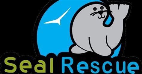 Zoo Jobs: SEAL RESCUE INTERNSHIPS