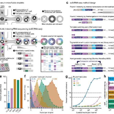 Pdf Ultra High Throughput Single Cell Rna Sequencing By Combinatorial