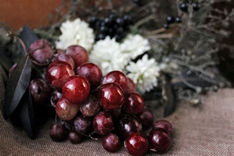 Red Grapes · Free Stock Photo