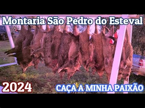 Montaria Ao Javali S O Pedro Do Esteval Youtube