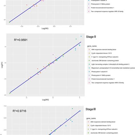 Correlation Of The Differential Expression Ratio Between Qrt Pcr And