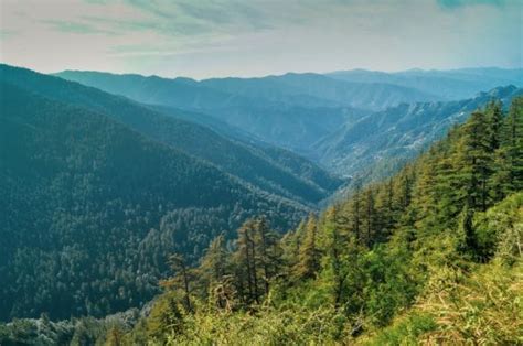 Green Valley Shimla What To Expect Timings Tips Trip Ideas By