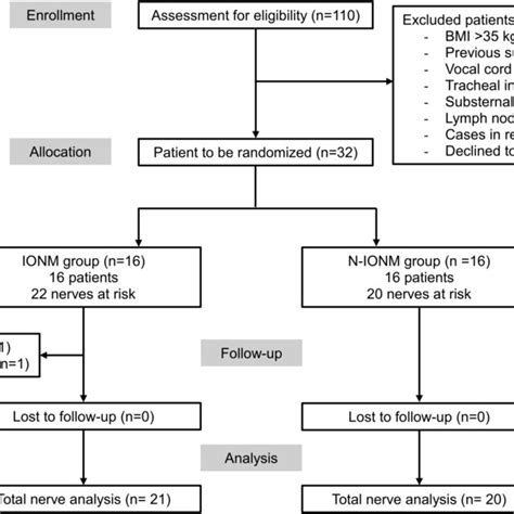 Patient Enrollment Flow Based On The Consort Statement Guidelines