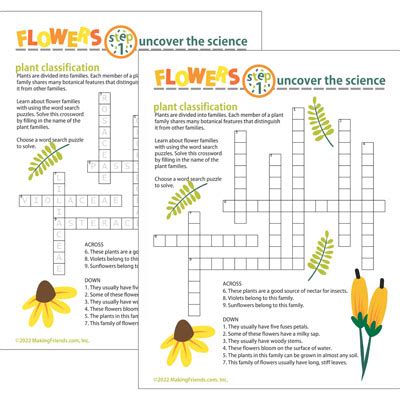 Flower Part Definitions Crossword Puzzle Answer Key Best Flower Site