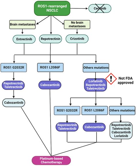 development  place  therapy  lorlatinib   treatment