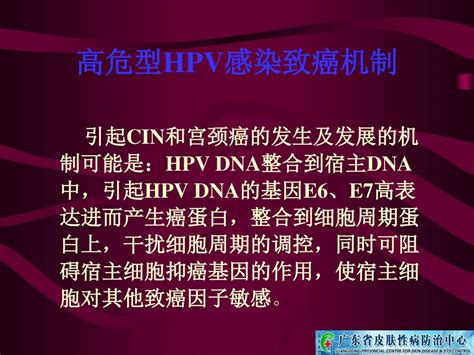 人类乳头瘤病毒与宫颈癌 广东省皮肤性病防治中心 杨斌 主任医师 Ppt Download