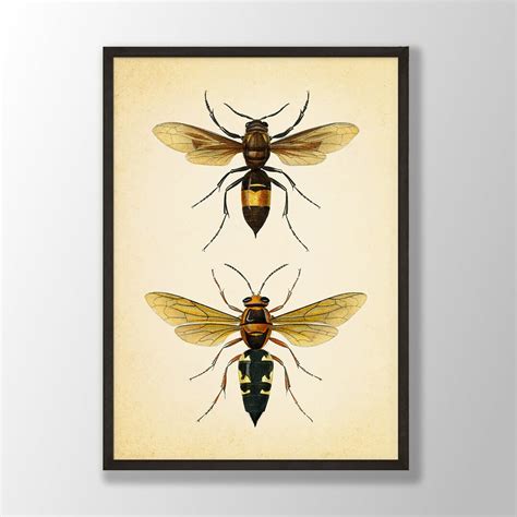 Vintage Bee Print No1 Bee Wall Art Bumble Bee Wall Decor Gallery