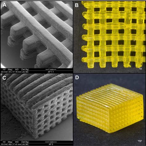 Three Dimensionally Printed Hydrogel A To D Three Dimensionally