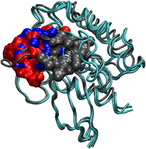 Largest Cavity Location Of Rap Domain In Original Crystal Structure And