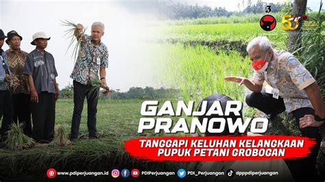 Ganjar Pranowo Tanggapi Keluhan Kelangkaan Pupuk Petani Grobogan Youtube