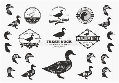 Vector Duck Logo, Icons, Charts and Design Elements Stock Vector - Illustration of duck, meal ...