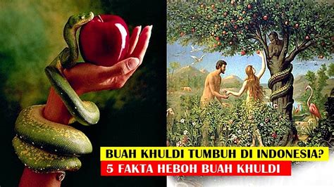 Buah Khuldibuah Setan Tumbuh Di Indonesiainilah 5 Fakta Buah Khuldi