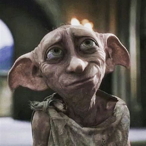 Harry Potter on Instagram: “Today is Dobbys Birthday (28 June)” | Harry ...