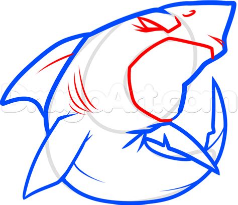 Shark Head Drawing | Free download on ClipArtMag